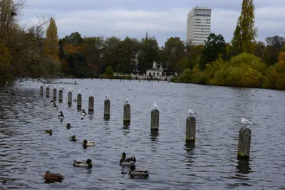 DSC_0533 (Large).JPG